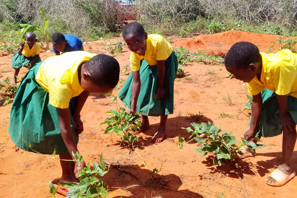 Fattorie